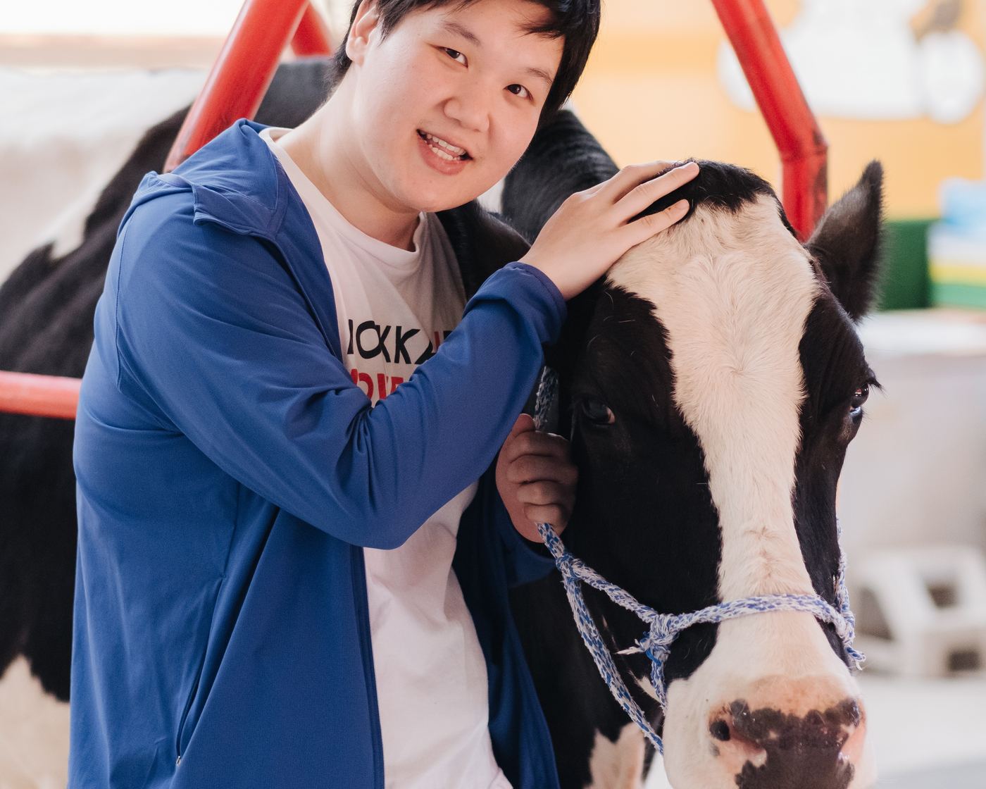Heartwarming Hokkaido Farm Fun at Watanabe Farm: Cow Encounters & Delicious Fresh Milk (Milking, Tractor Ride & More!)