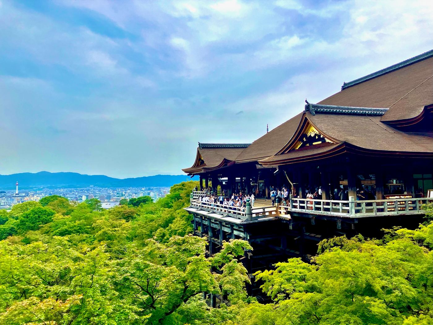 Kyoto 1 Day Golden Route Bus Tour