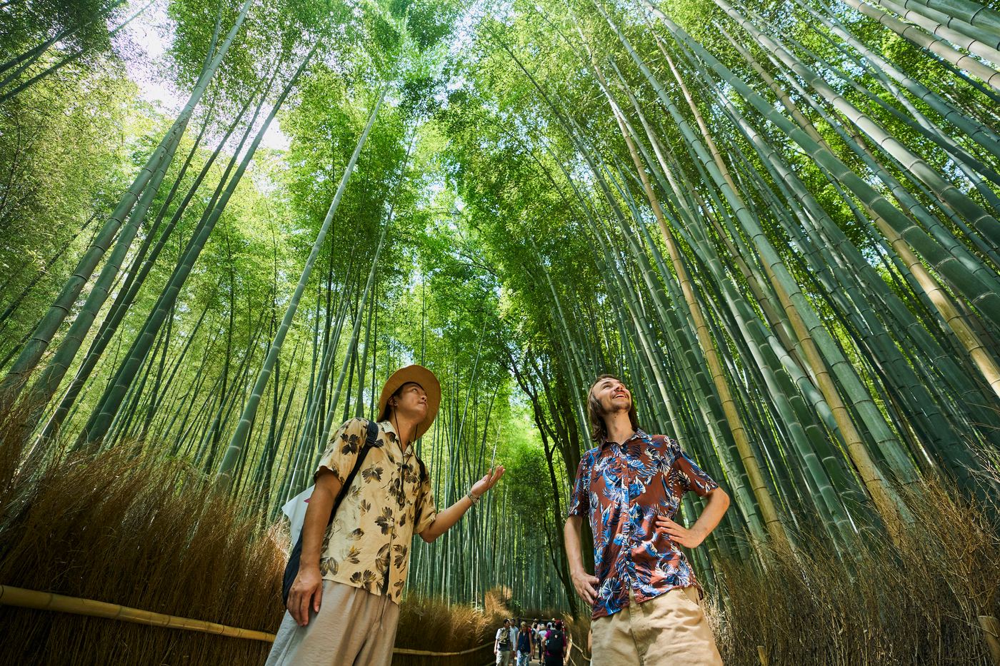 Kyoto: UNESCO World Heritage Arashiyama Walking Tour