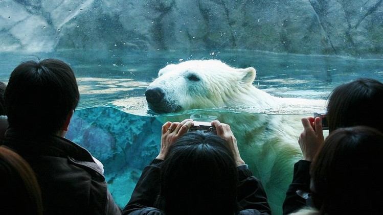 Hokkaido Asahiyama Zoo, Furano and Biei Bus Tour